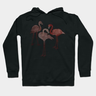 Three pink flamingos on sand beige Hoodie